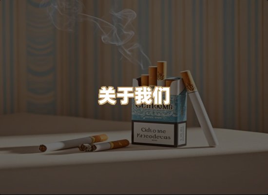 关于尊泉集烟网